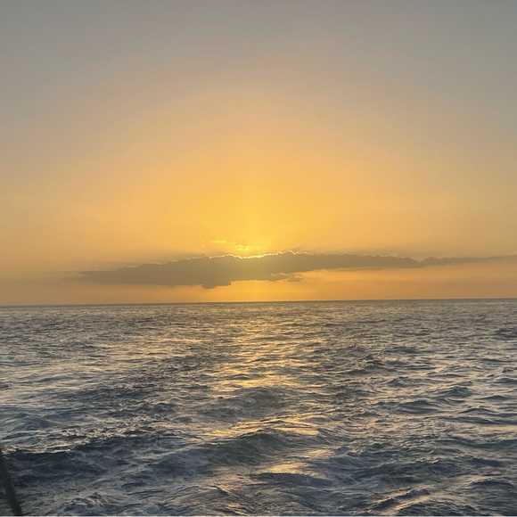 Meet your Posher, Dana - Picture 1 of 1